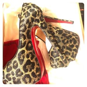 Daffodile 160 leopard